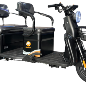 MOTO ELECTRICA FLEX 10.0